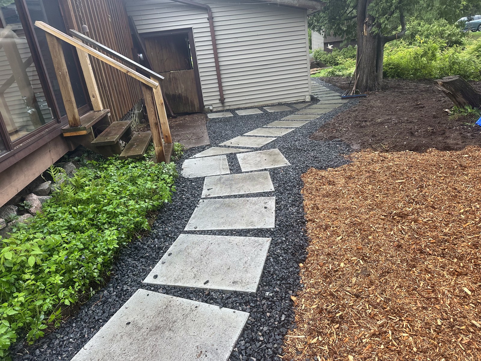 Completed woodland path around a mature tree